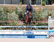 Apolloni Baby Arko GioCav2013 S5 1900 : Apolloni Gianluca, Baby Arko, Campionati Italiani Giovani Cavalli, Cattolica, ph Stefano Secchi ©